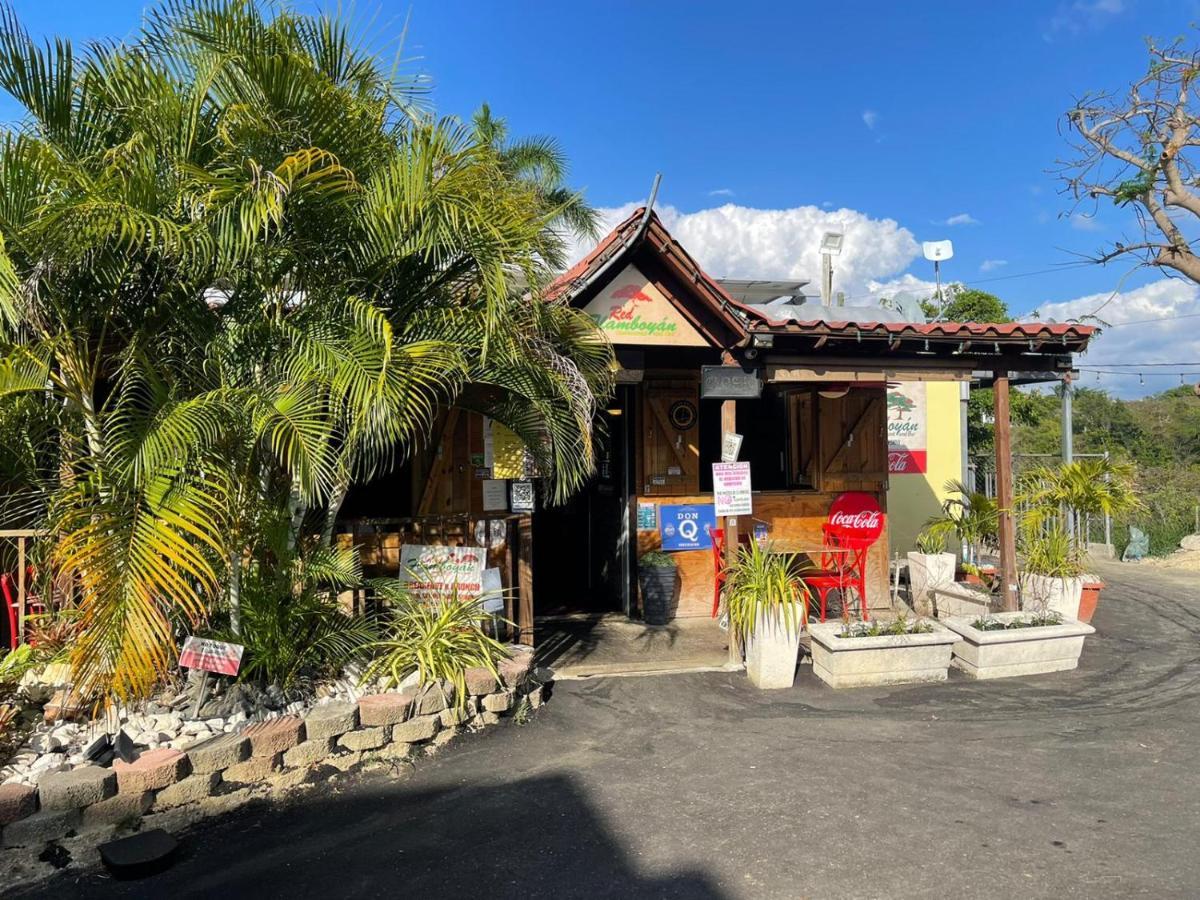 Red Flamboyan Guesthouse And Restaurant Rincon Exterior photo